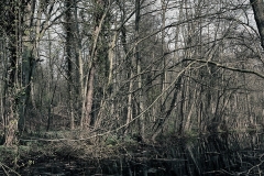 overveenPond-Efex