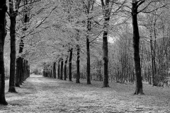 somewhere-IISL